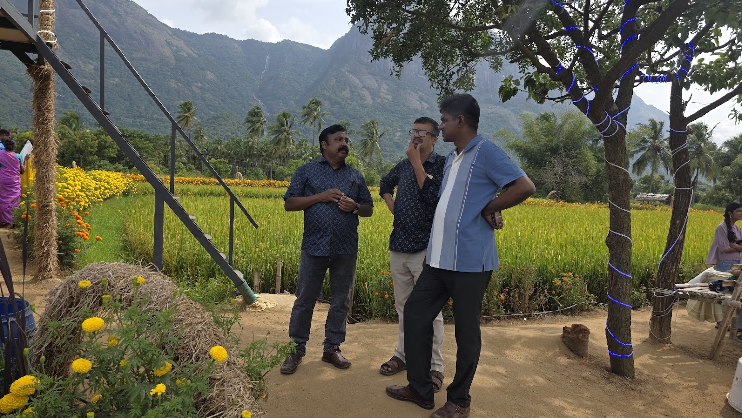 Decorative lights glowing