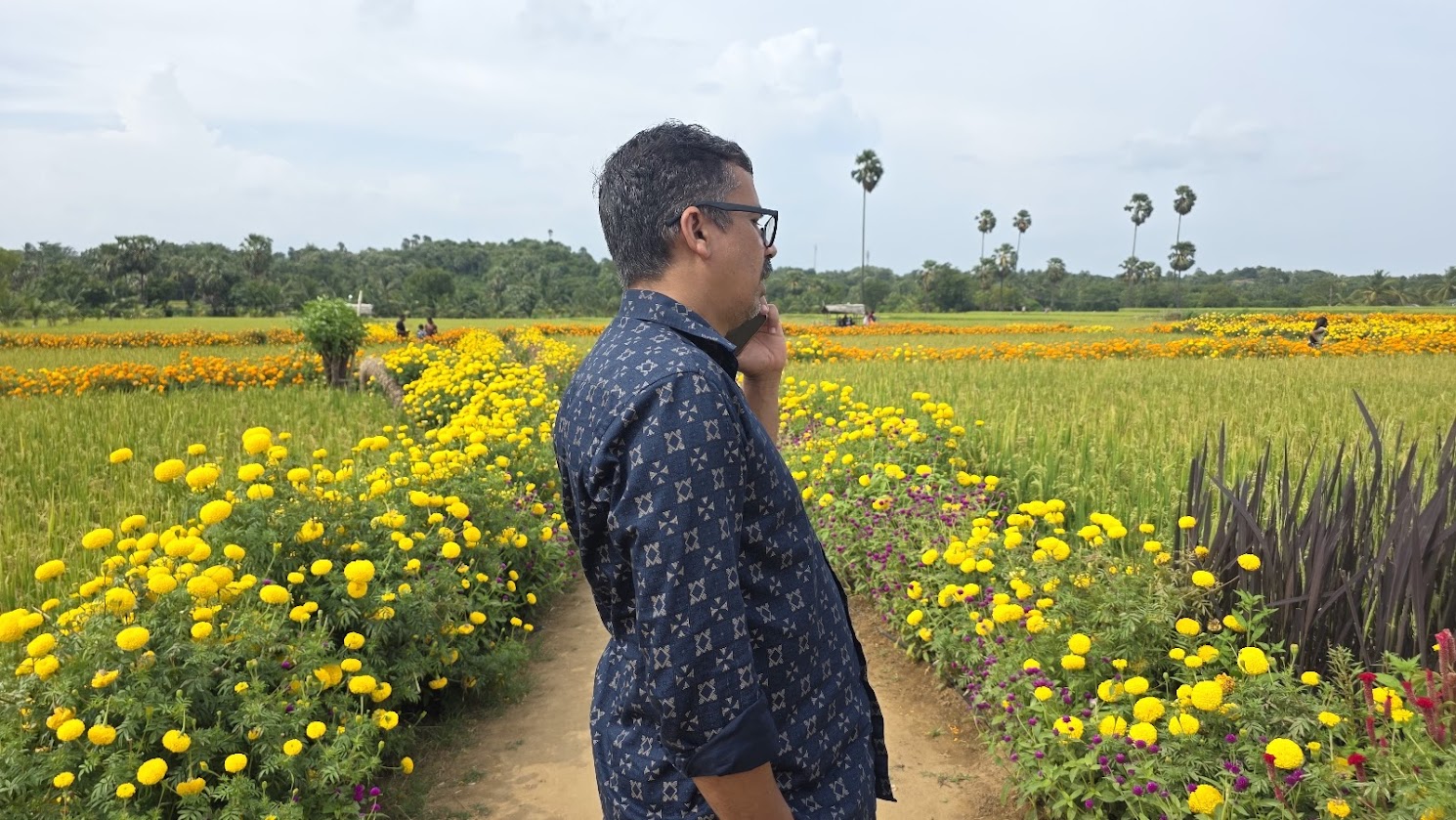 Collage of marigold flowers