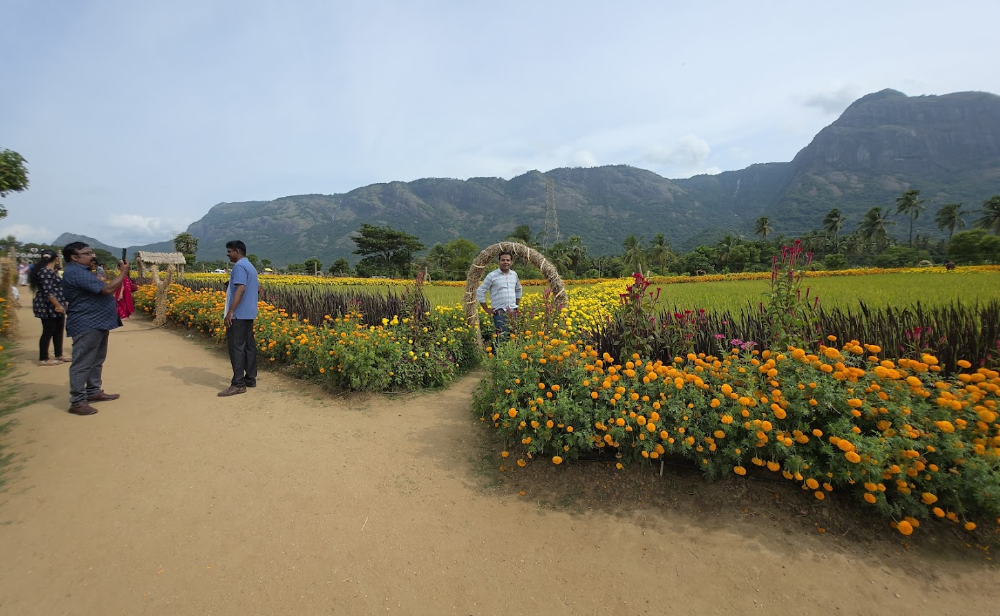Night view with lights
