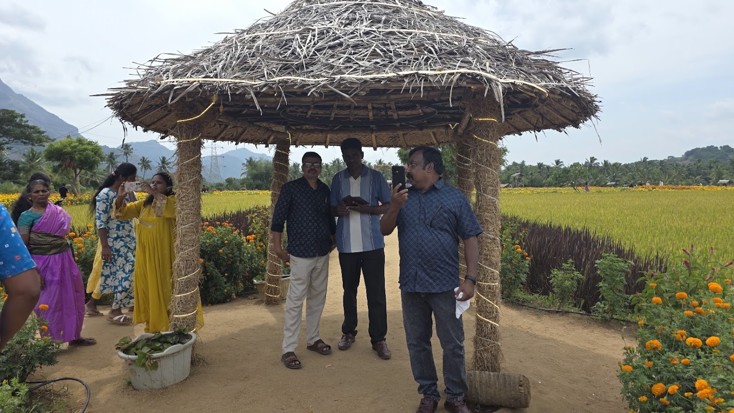 Erumaadam cattle hut