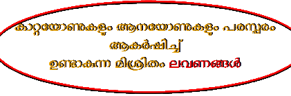 Kerala PSC LP/UP Assistant Online Mock Test 195